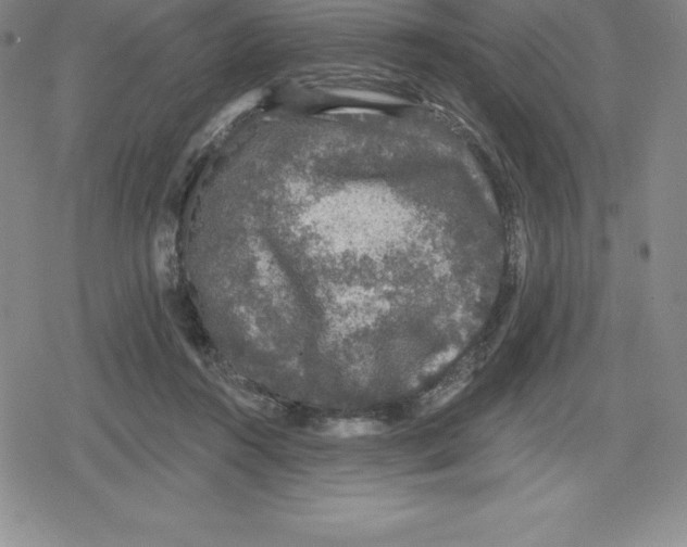 X0000079290360200612151708