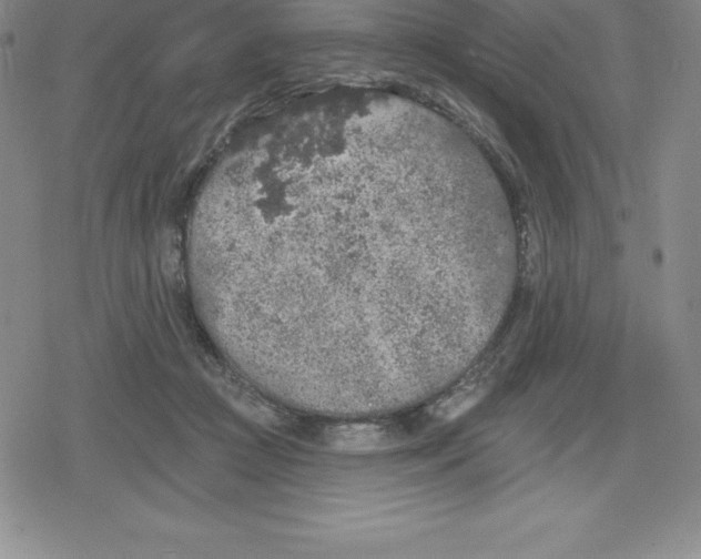 X0000079290361200612151708