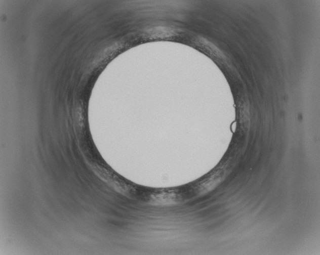 X0000079290362200612151708