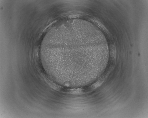 X0000079290363200612151708