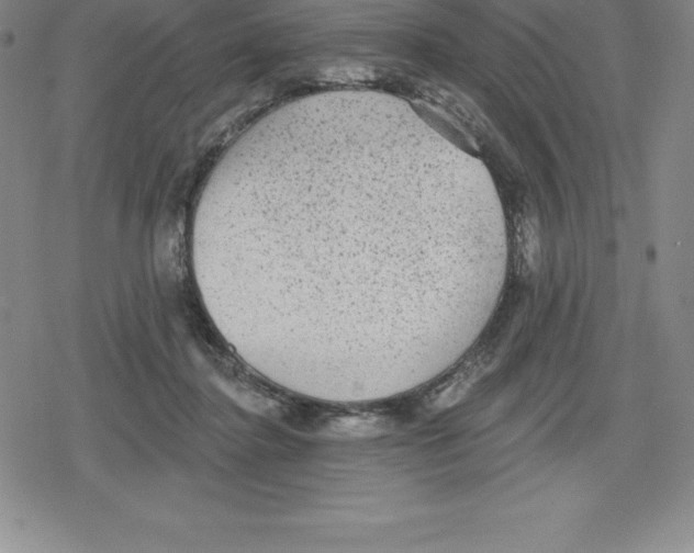 X0000079290364200612151708