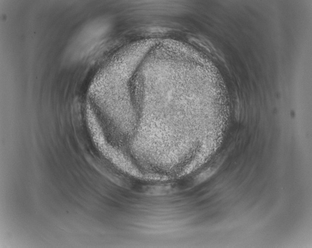 X0000079290366200612151708