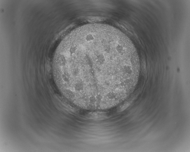 X0000079290367200612151708