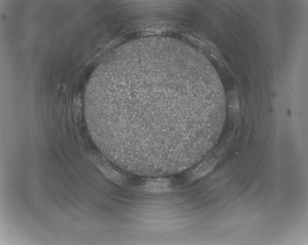 X0000079290369200612151708