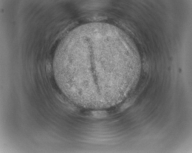 X0000079290371200612151708