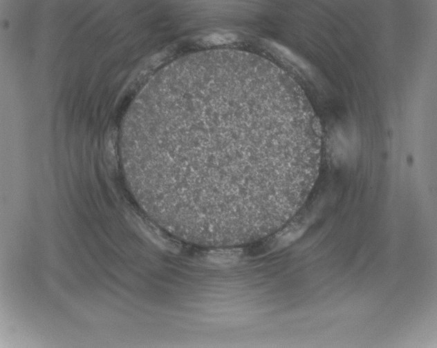 X0000079290373200612151708