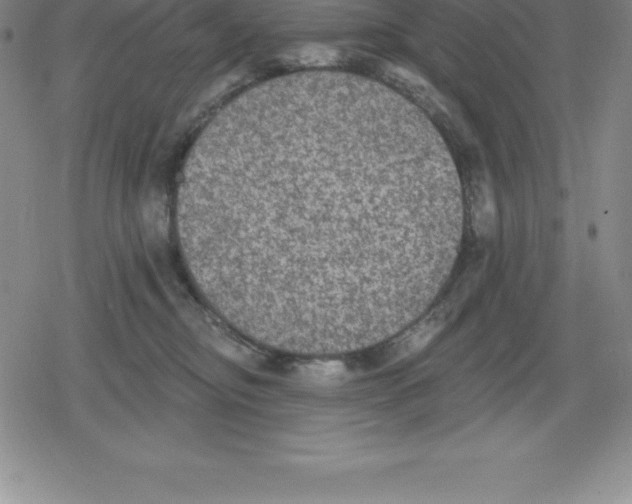 X0000079290374200612151708