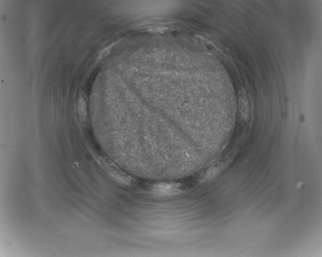 X0000079290375200612151708