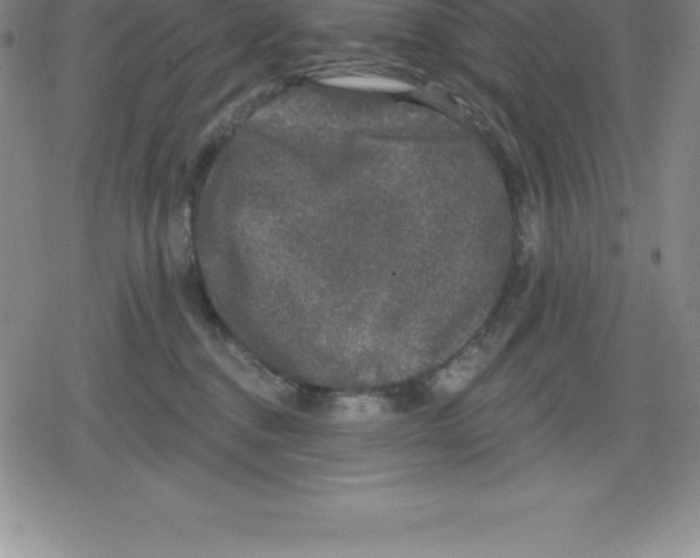 X0000079290376200612151708