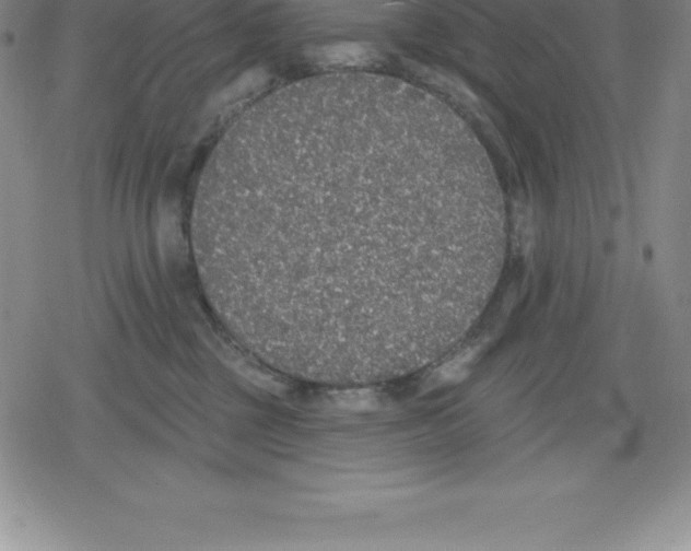 X0000079290377200612151708