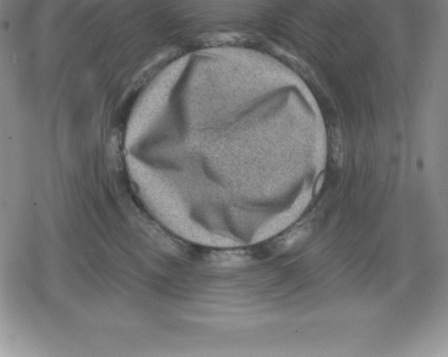 X0000079290378200612151708