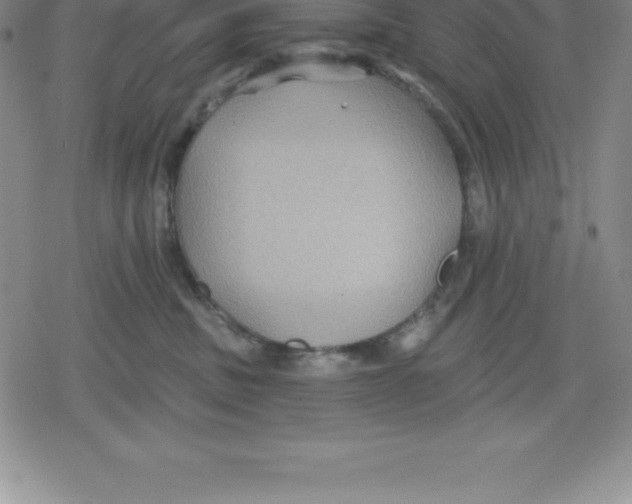 X0000079290379200612151708