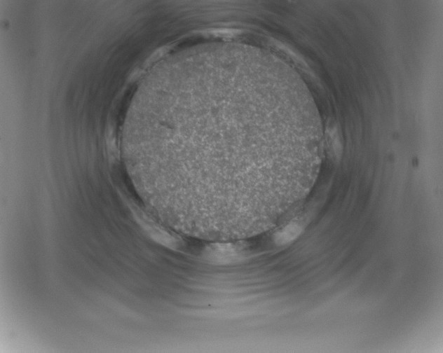 X0000079290381200612151708