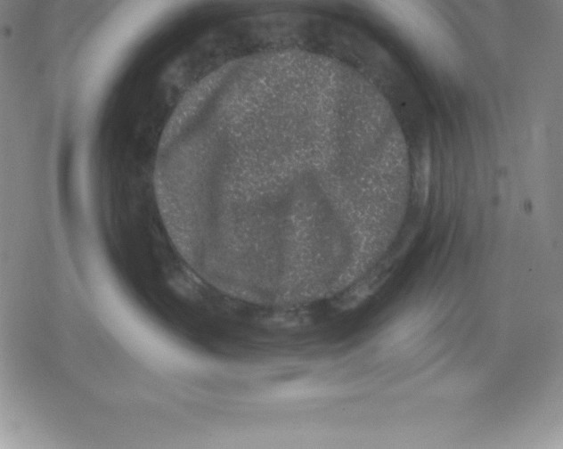 X0000079290383200612151708