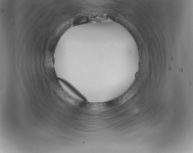 X0000079290384200612151708