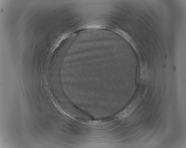 X0000079290385200612151707