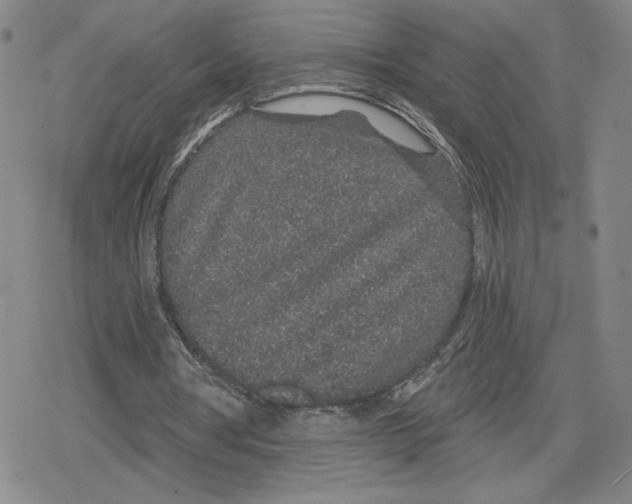 X0000079290386200612151707