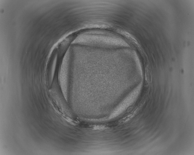 X0000079290388200612151707