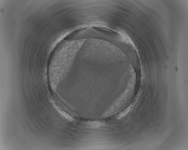 X0000079290389200612151707