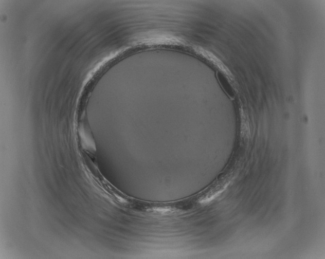 X0000079290391200612151707