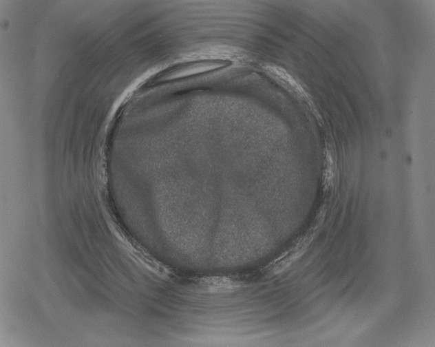 X0000079290392200612151707