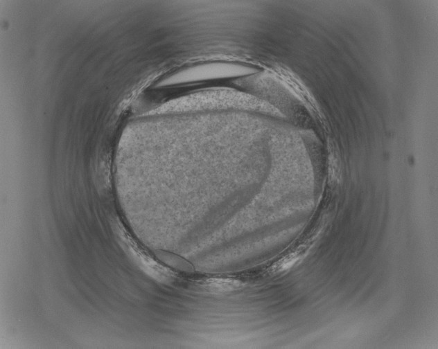 X0000079290393200612151707