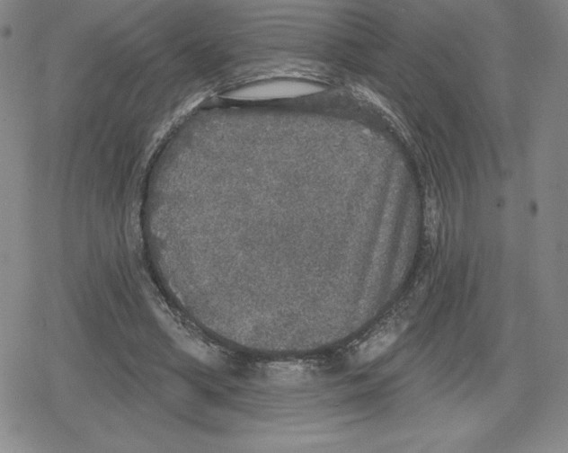 X0000079290394200612151707