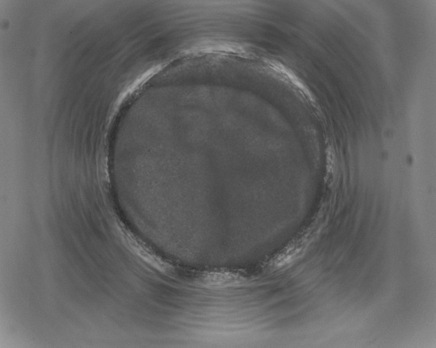 X0000079290399200612151707