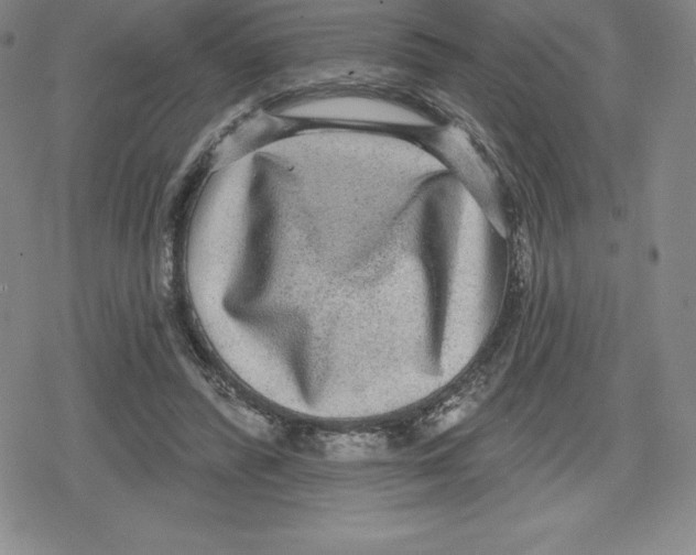 X0000079290400200612151707