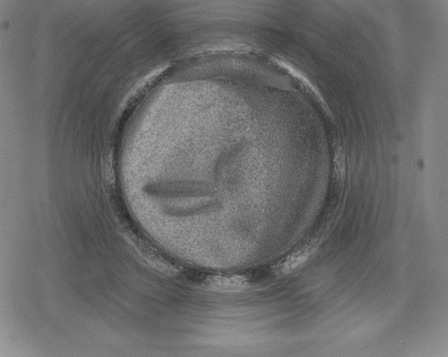 X0000079290403200612151707