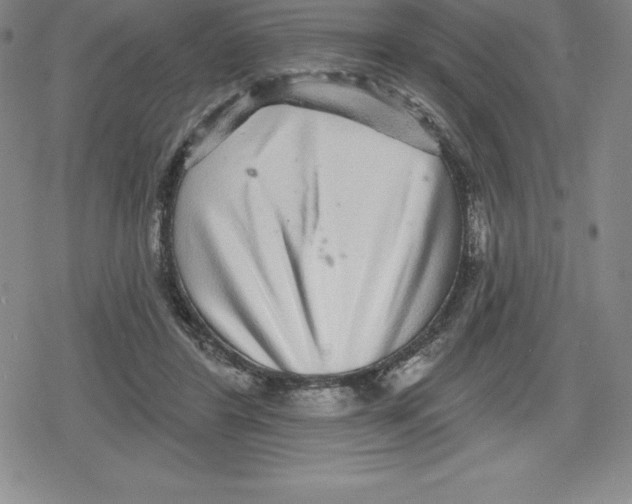 X0000079290404200612151707