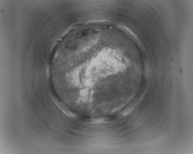 X0000079290405200612151707