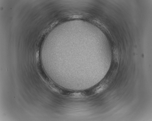 X0000079290406200612151707