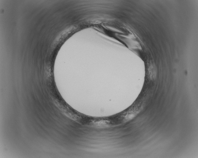 X0000079290407200612151707