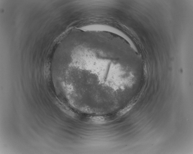 X0000079290409200612151707