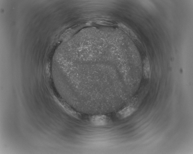 X0000079290410200612151707