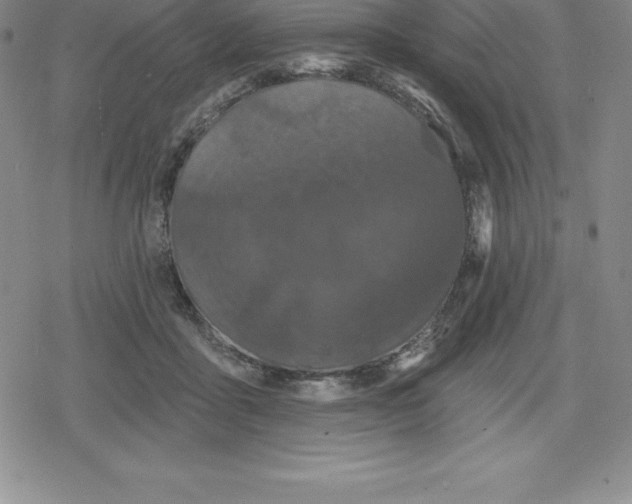 X0000079290411200612151707