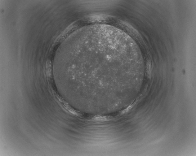 X0000079290413200612151707