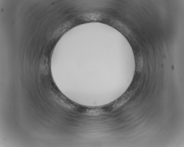 X0000079290414200612151707