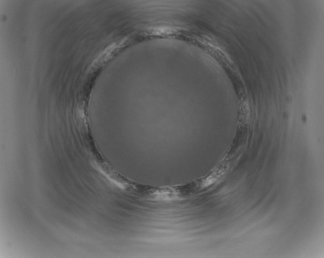 X0000079290415200612151707