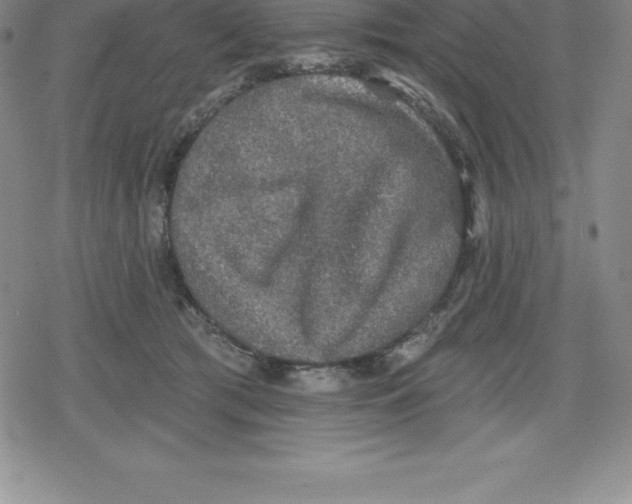 X0000079290417200612151707