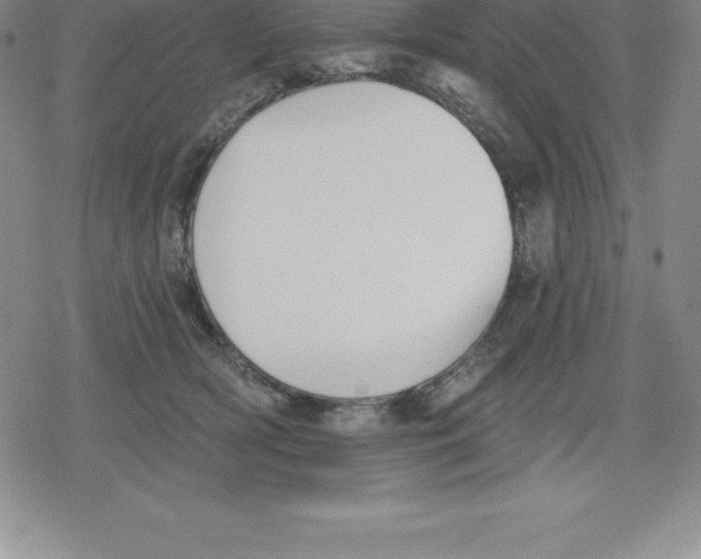 X0000079290418200612151707