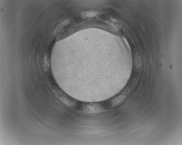 X0000079290420200612151707