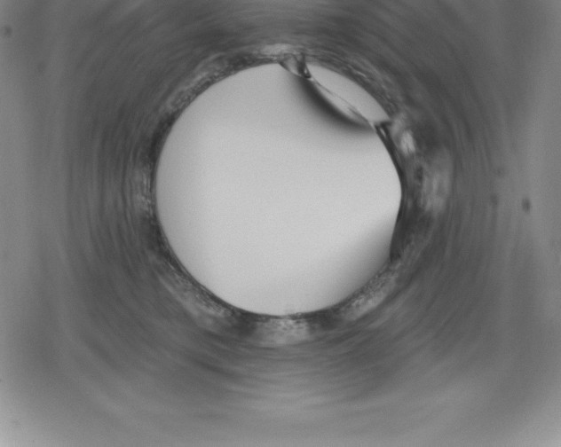 X0000079290421200612151707