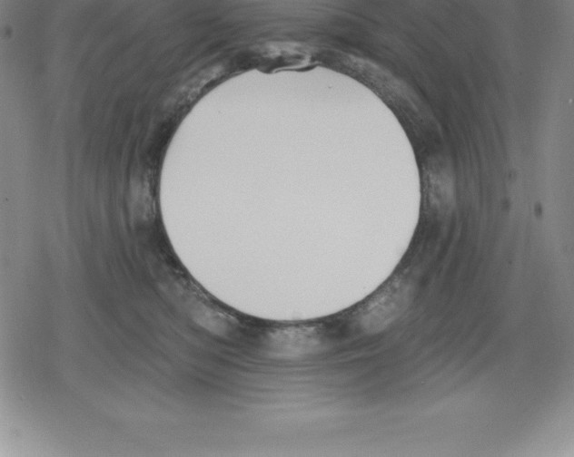 X0000079290422200612151707