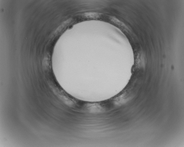 X0000079290424200612151707