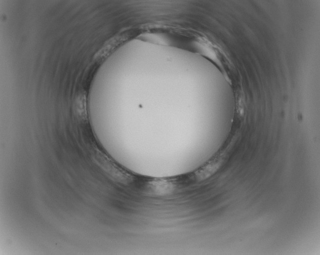 X0000079290425200612151707