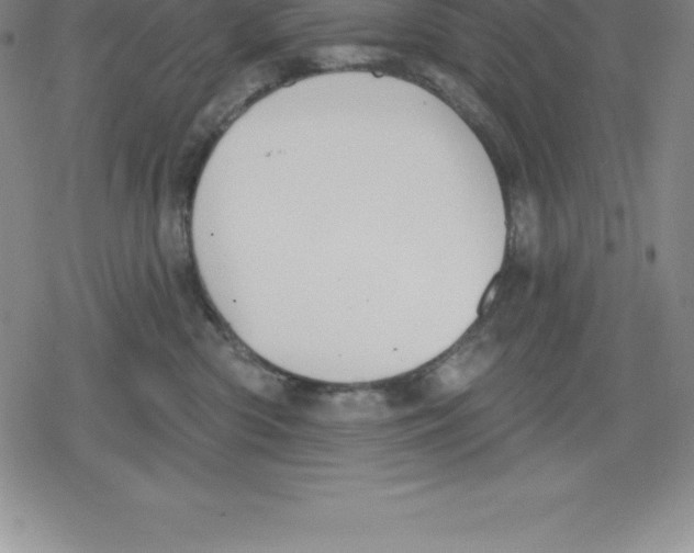 X0000079290426200612151707