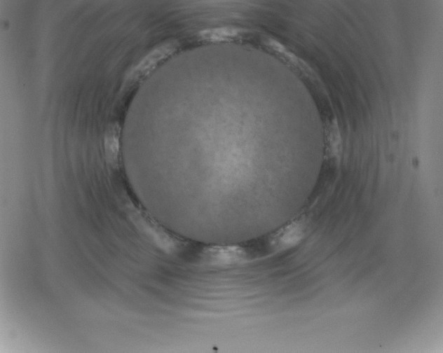 X0000079290427200612151707