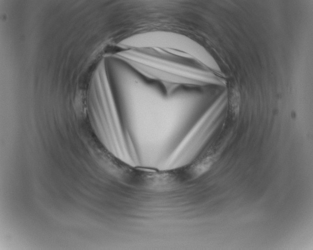 X0000079290428200612151707